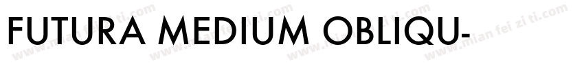 FUTURA MEDIUM OBLIQU字体转换